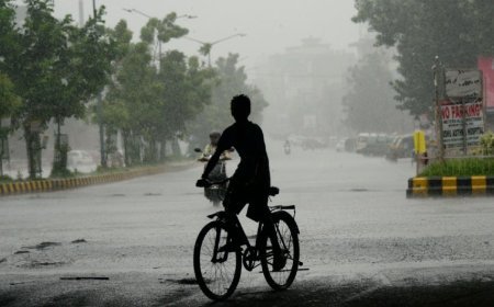 IMD issues yellow warning for heavy rain, thunderstorms in Odisha till July 31