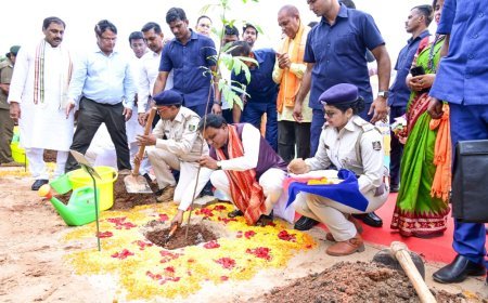 75 ତମ ବନ ଉତ୍ସବରେ ନିଜେ ଗଛ ଲଗାଇଲେ ମୁଖ୍ୟମନ୍ତ୍ରୀ