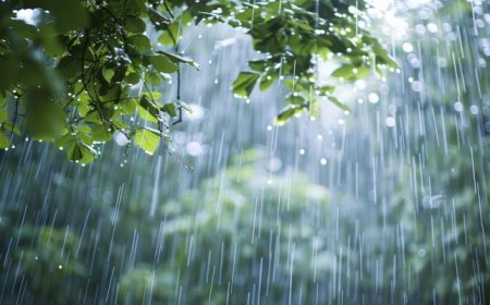 Cyclonic circulation over Malacca Strait likely to intensify; Odisha braces for widespread rainfall