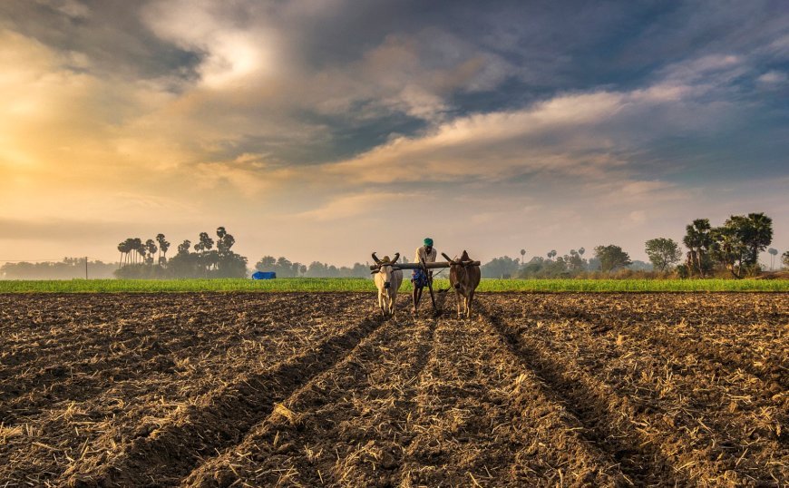 Odisha to roll out CM Kisan Yojana with enhanced benefits for farmers