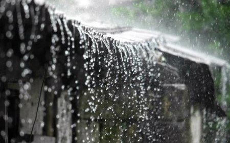 Odisha braces for heavy rainfall and thunderstorms due to forming low-pressure system