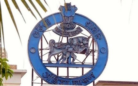 Odisha govt forms dedicated traffic wing, adds 20 new cyber police stations