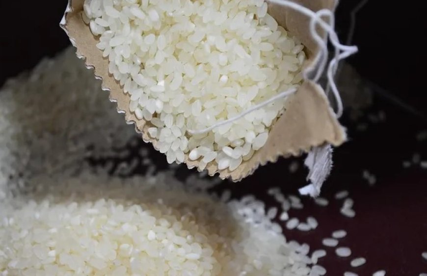 Odisha govt urges fraudulent ration card holders to surrender cards immediately