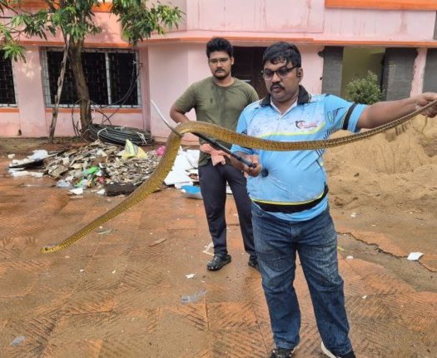 Snake rescued from Odisha Forest Minister's quarters in Bhubaneswar