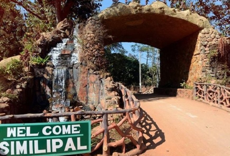Similipal Tiger Reserve reopens after four months