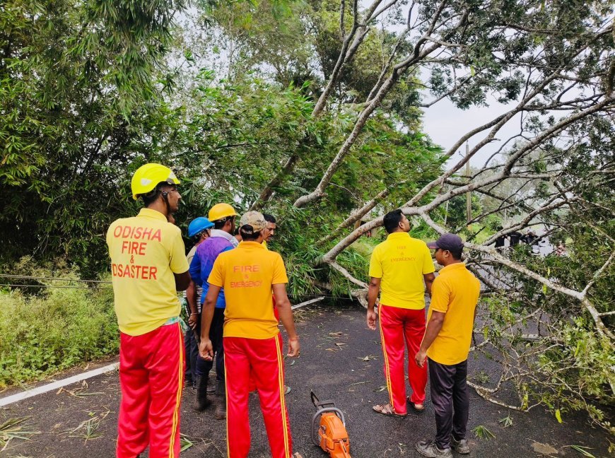 Odisha announces Rs 423 crore aid package for Cyclone Dana-affected districts
