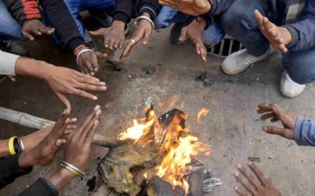 Dense fog and cold wave sweep Odisha, night temperatures set to rise gradually