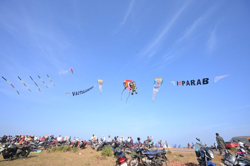 Deomali skies light up with Odisha's first professional kite festival