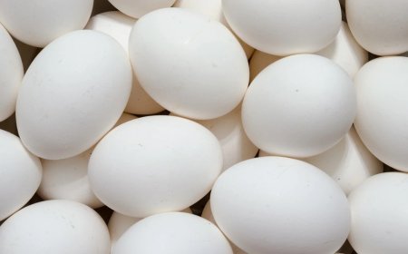 Odisha schools to provide eggs and nutrient-rich laddoos in midday meals from April 1