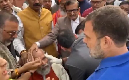 Rahul Gandhi accused of pushing BJP MP during Ambedkar protest