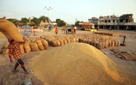 Paddy procurement in Odisha to end on March 31, over 90% target achieved