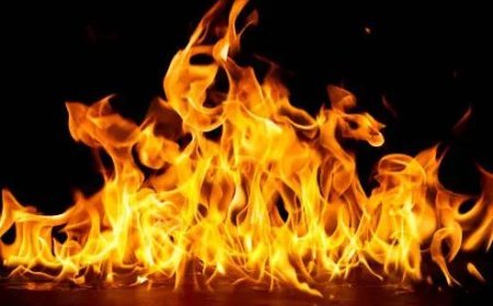 Plus II girl set on fire in broad daylight in Puri, police probe on