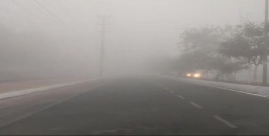 IMD forecasts dense fog and cold wave conditions in several Odisha districts