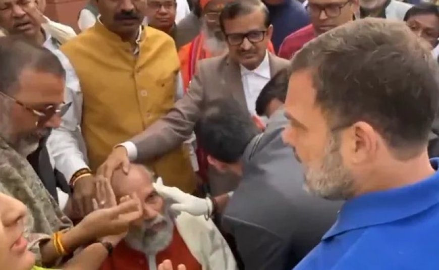 Rahul Gandhi accused of pushing BJP MP during Ambedkar protest