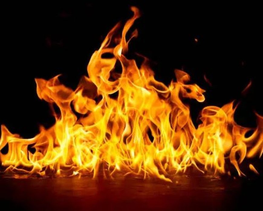 Miscreants loot cash, gold, and set bank on fire in Odisha