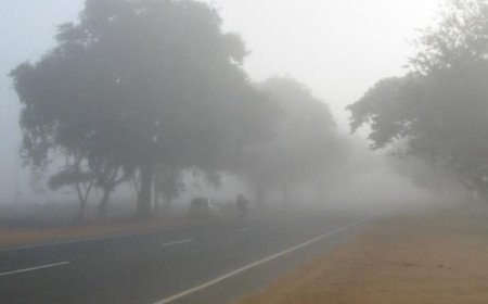 IMD predicts dense fog and rising temperatures in Odisha