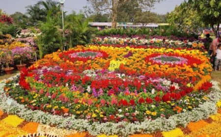 One-day extension for annual flower show at RPRC