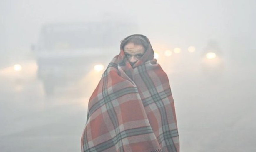 Fog alerts issued across Odisha as chilly weather continues to grip the state