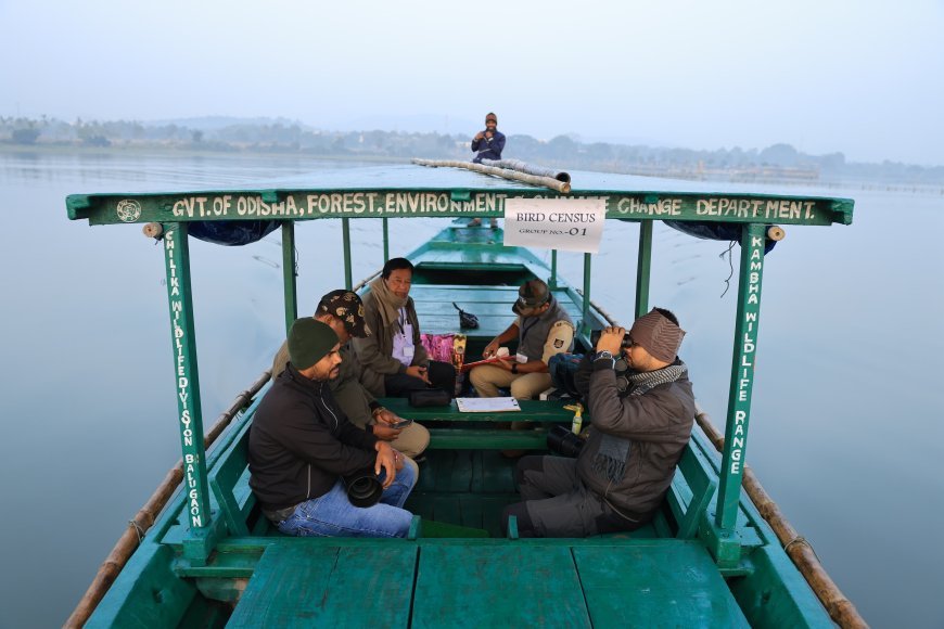 Odisha launches annual mid-winter bird census across key wetlands