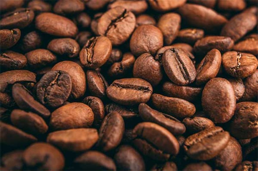 India's coffee exports soar to $1.29 billion as global demand rises