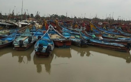 Odisha enforces two-month fishing ban to protect marine life