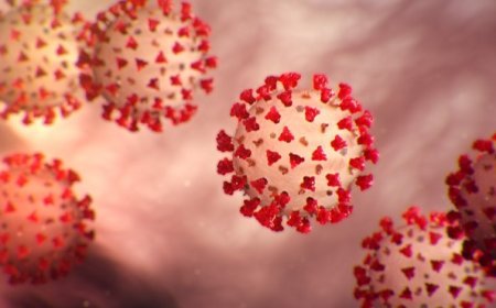 Odisha reports first COVID-19 case in Bhubaneswar, health officials urge public to stay calm