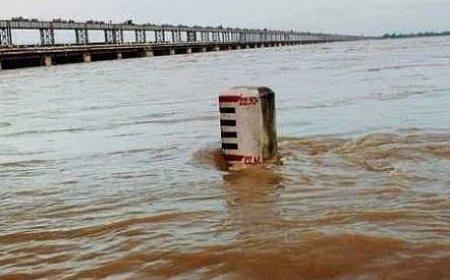 Flood situation critical in Odisha, rivers flow above danger mark