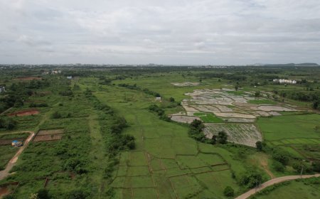 Odisha Government approves TP Scheme-8 to boost Bhubaneswar’s urban development