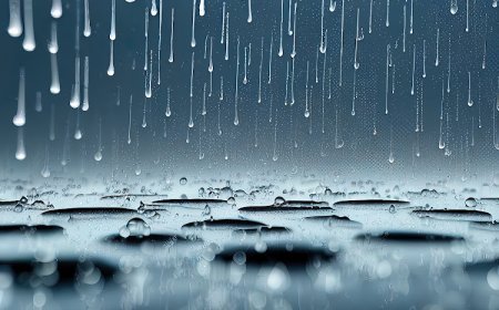 Odisha braces for four days of monsoon showers