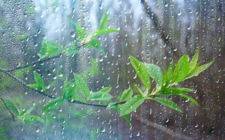 ଆଗାମୀ 10 ତାରିଖ ପୂର୍ବରୁ ଓଡିଶା ଛୁଇଁବ ମୌସୁମୀ