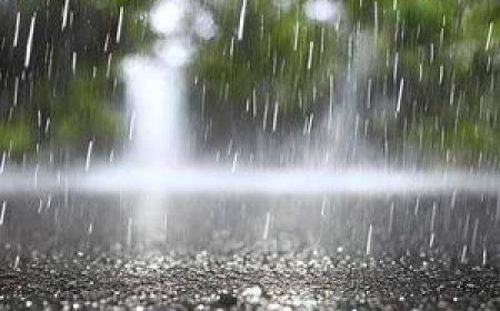 Low-pressure area in Bay of Bengal May develop into cyclone