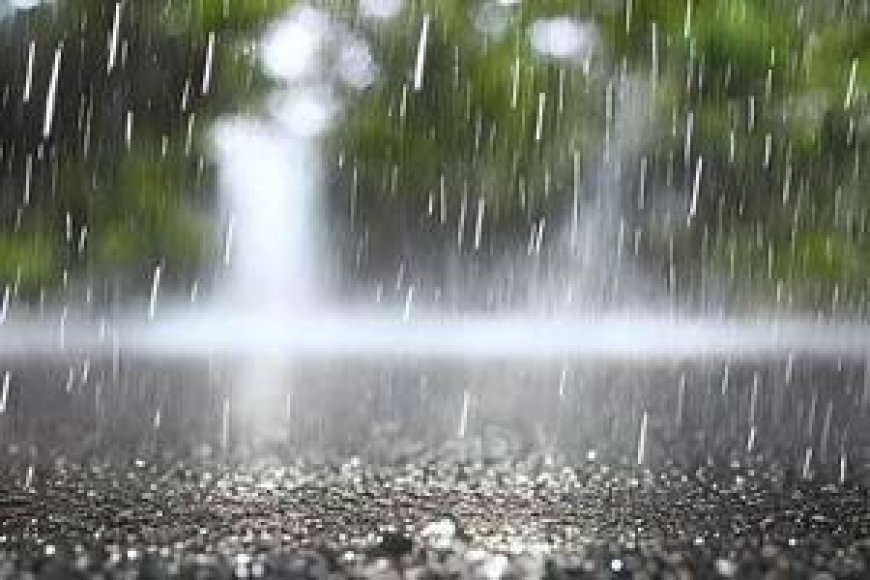 Low-pressure area in Bay of Bengal May develop into cyclone
