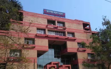 BDA to resume weekly grievance hearings from July 1