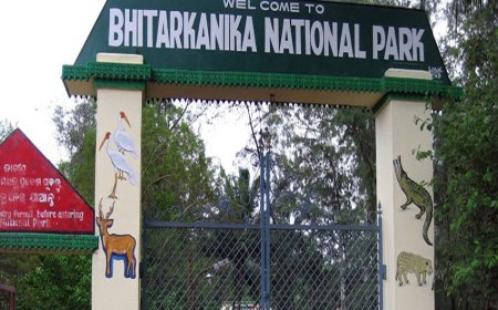 Bhitarkanika National Park to reopen on August 1 after three-month closure