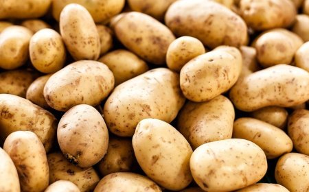 Food Minister addresses potato price hike, warns traders against manipulation