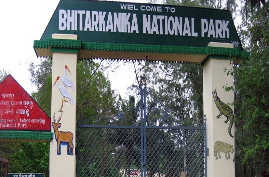 Bhitarkanika National Park to reopen on August 1 after three-month closure