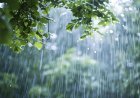 Cyclonic circulation likely over North Bay of Bengal around October 10; IMD issues heavy rainfall alert for Odisha