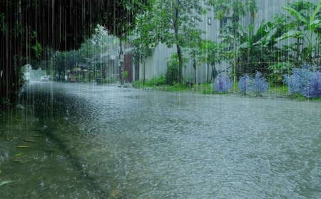 Red warning issued for Mayurbhanj as deep depression continues to bring heavy rain