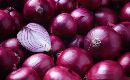 Onion prices soar to Rs 50/kg amid supply shortages