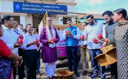 Odisha’s dragon fruit makes its international debut with export to Dubai