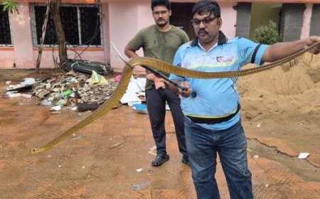 Snake rescued from Odisha Forest Minister's quarters in Bhubaneswar