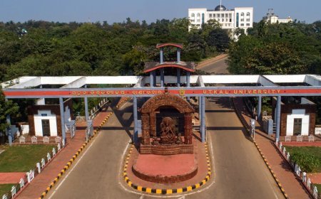 Odisha Cabinet greenlights changes to Universities Act to streamline recruitment