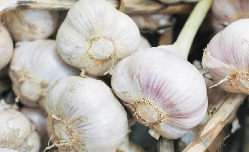 Skyrocketing prices of onions and garlic hit Odisha consumers hard