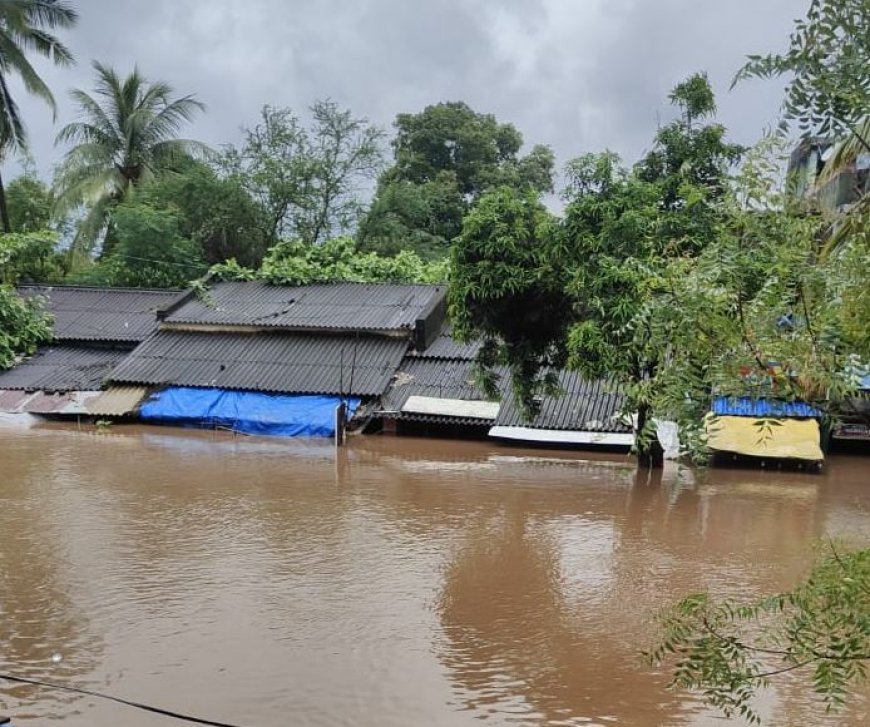 Flood damage in Odisha: Government calls for rapid assessment in affected districts