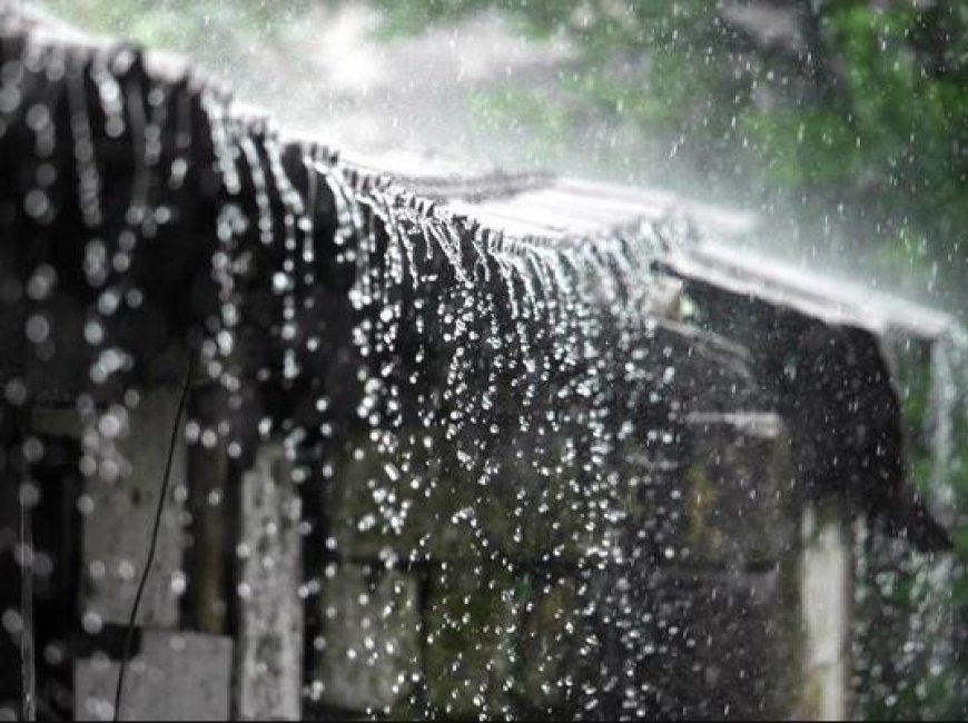 Light to moderate rain predicted across multiple districts in Odisha