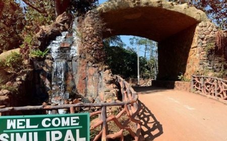Similipal Tiger Reserve implements online booking for visitor entry starting February 1