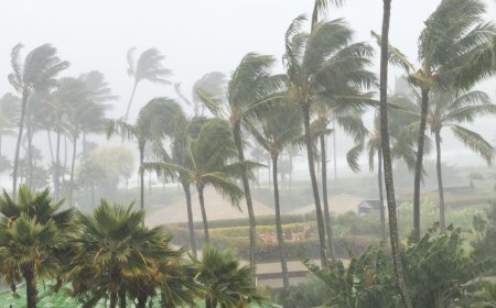 IMD denies cyclone threat over Bay of Bengal, predicts light rainfall in Odisha
