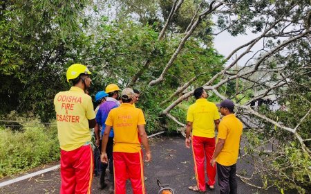 Central team to assess damage from Cyclone ‘Dana’ in Odisha starting Nov 24