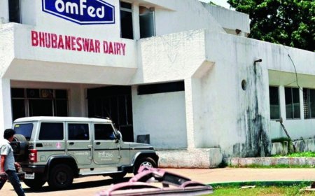 Omfed ghee to be used in all major temples in Odisha, says Minister