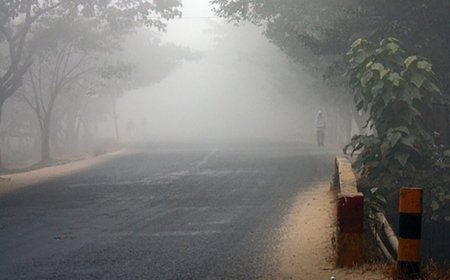 IMD predicts foggy mornings and dip in night temperatures across Odisha